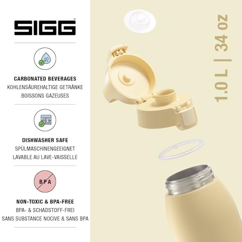 Insulated Water Bottle