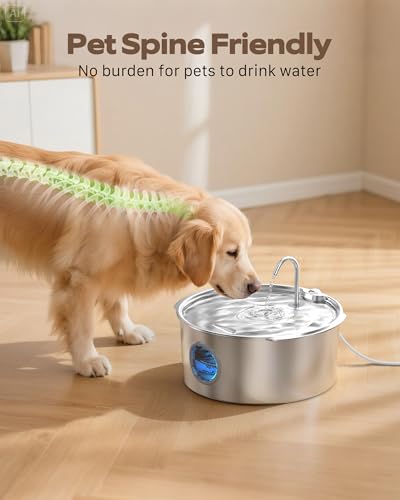 Pet Water Fountain for Large Dogs