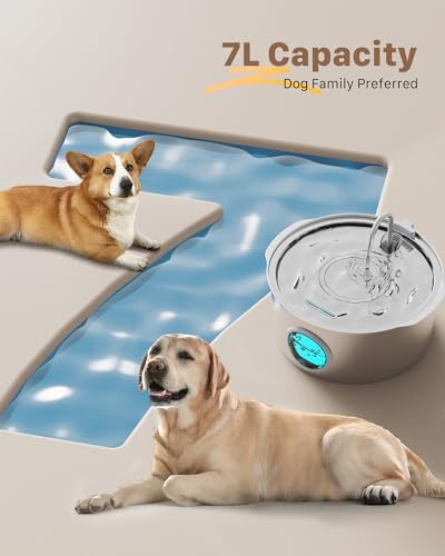 Pet Water Fountain for Large Dogs