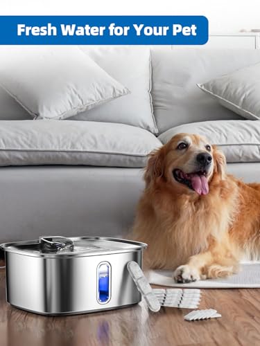 Dog Water Fountain for Large Dogs (6 Count)