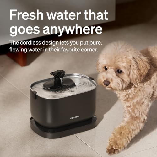 Small Dog Water Fountain