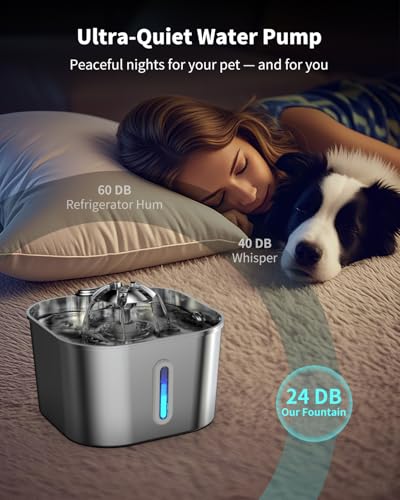 Stainless Steel Cat Water Fountain