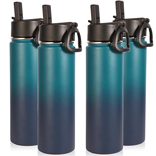 Insulated Water Bottles with Straw Bulk 4 Pack (4 Count)