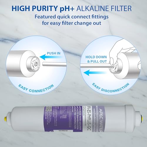 FILTER-T1Y-ESPH Replacement Filter Set, 1 Year