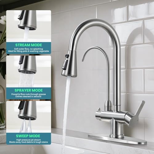Kitchen Faucet with Water Filter Faucet