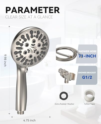 Shower Head with Handheld