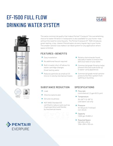 Pentair Everpure EF