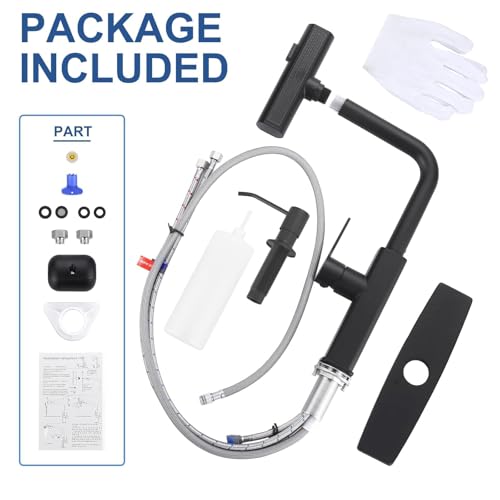Kitchen Faucet with Pull Down Sprayer