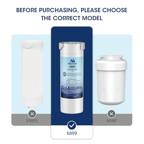 XWF Replacement for GE XWF Refrigerator Water Filter 2 Pack (2 Count)