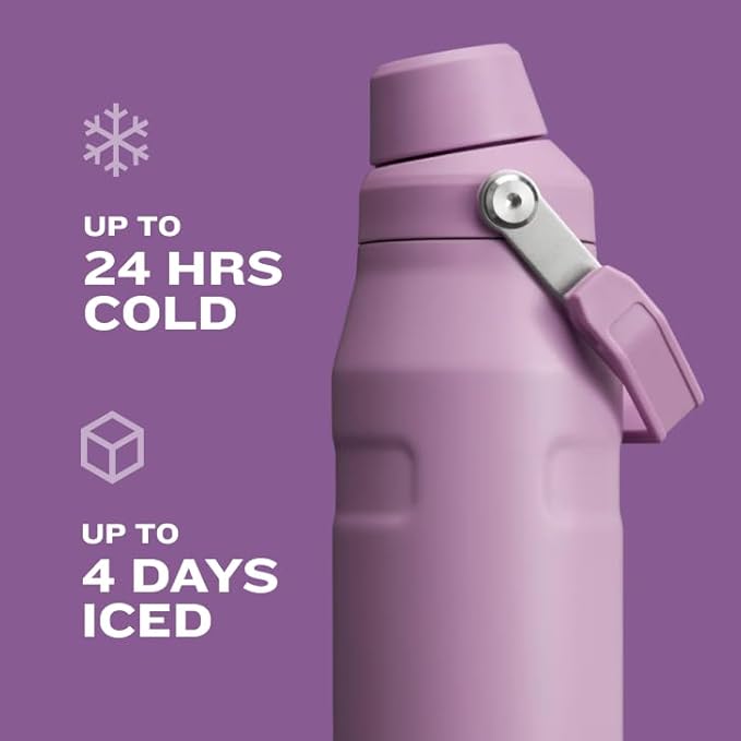 Stanley IceFlow Fast Flow Water Bottle 24 oz | Angled Spout Lid | Lightweight and Leakproof for Travel and Sports | Insulated Stainless Steel | BPA-Free | Black