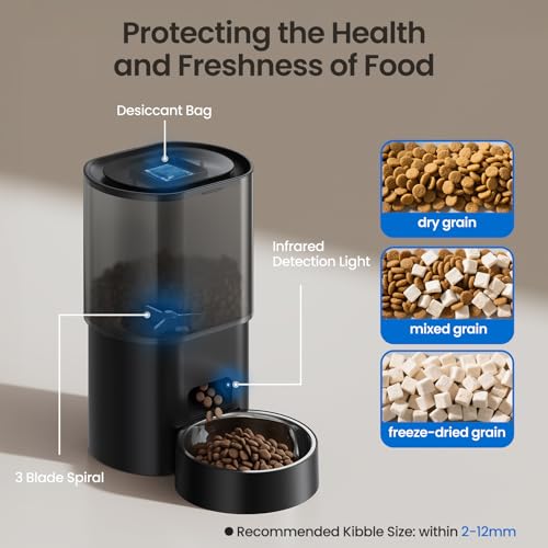 Automatic Cat Feeder and Water Fountain 2