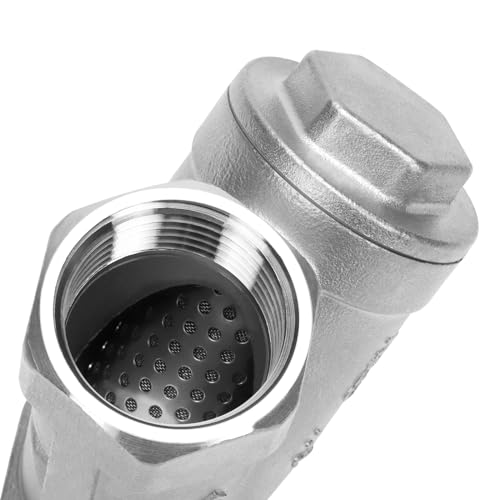 1 Inch Wye Strainer 100 Mesh Screen Filter Valve