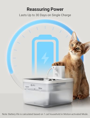 Cat Water Fountain Cordless