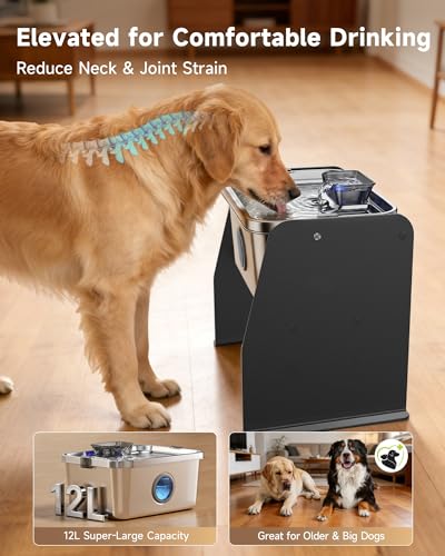 12L 3.2Gal Dog Water Fountain Elevated