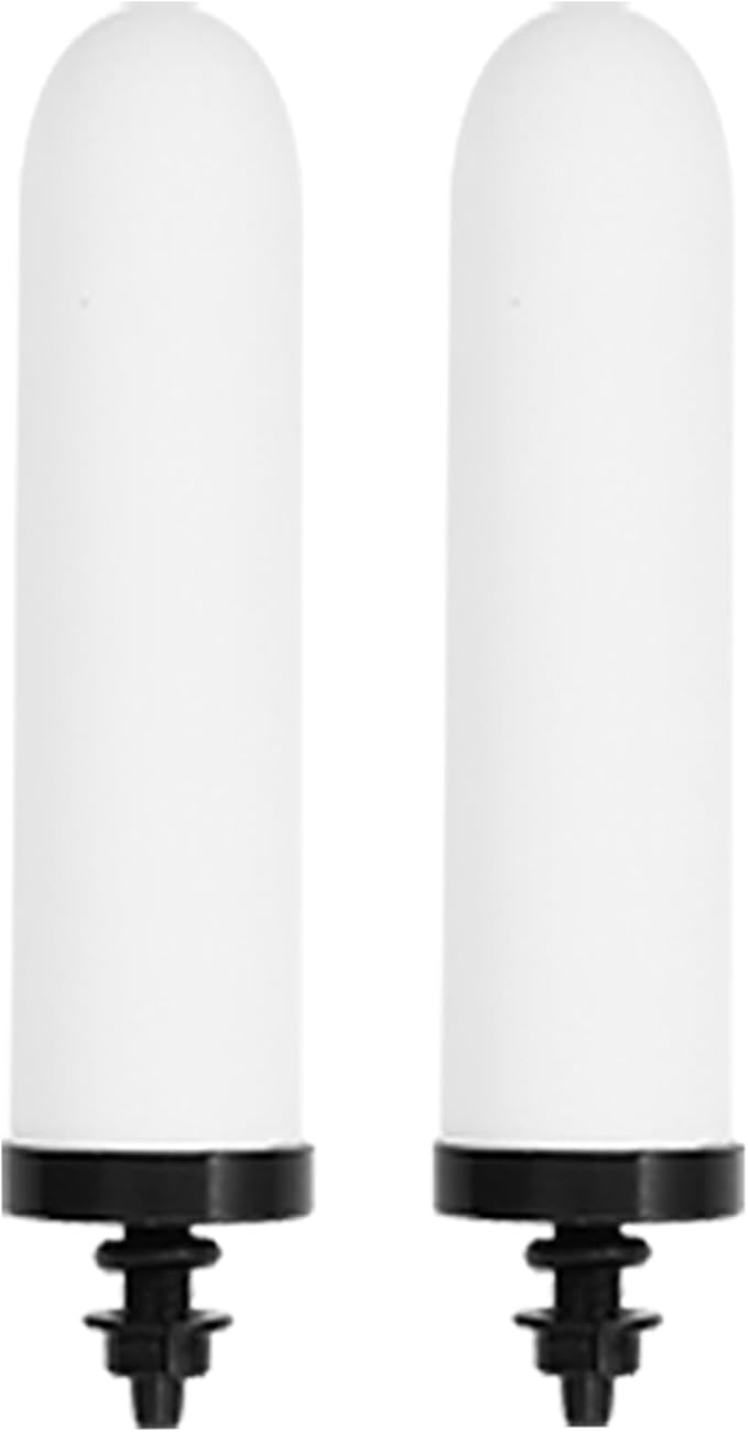 HUINING 2PCS 10" Ceramic Filter Candle Activated Carbon Replacement Filters Compatible with ProOne and Berkey Countertop Gravity Water Filter System, Household Water Bucket,Water Cooler Filtration (2)