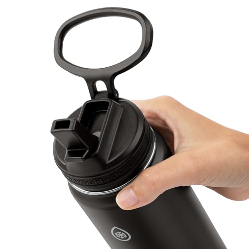 Insulated Water Bottle with Straw Lid