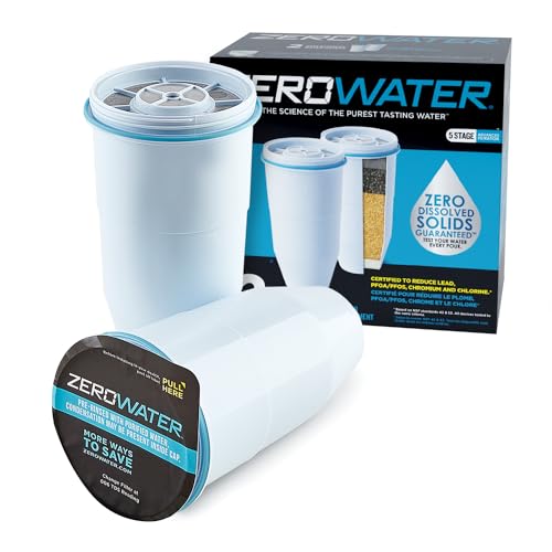 Official Replacement Filter (2 Count)