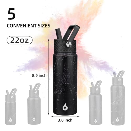 22oz Insulated Water Bottle with Straw Lid
