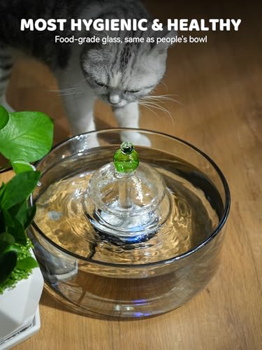 All Glass Cat Water Fountain