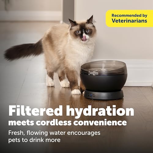 HydroSphere Cordless Pet Fountain Battery Powered Water Fountain for Cats and Small Dogs Stainless Steel Tray Quiet Operation
