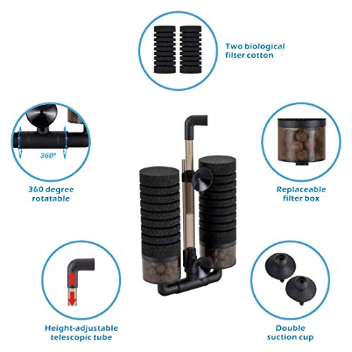 Sponge Filter
