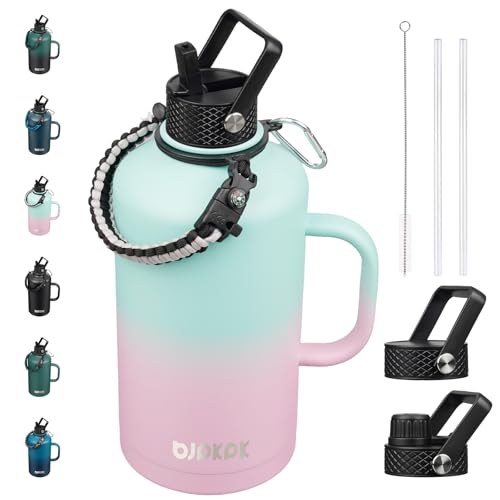 87oz Insulated Water Bottle with Straw Lid Stainless Steel Water Jug