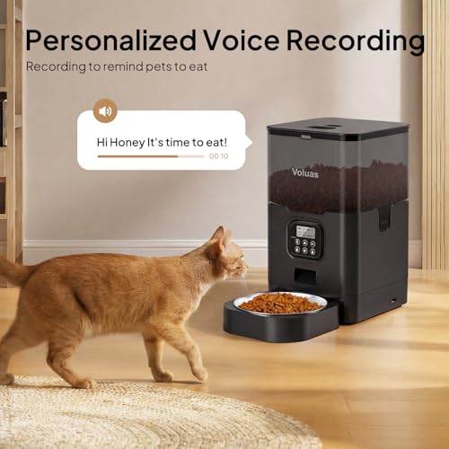Automatic Cat Feeder