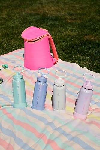 Insulated Water Bottle with Straw Lid