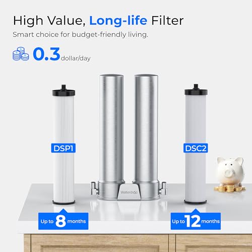 DST Under Sink Water Filter System
