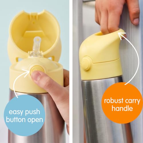 Insulated Water Bottle for Kids