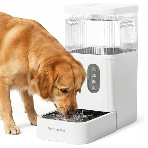 2.9 Gallon Automatic Dog Water Dispenser with Stainless Steel Bowl