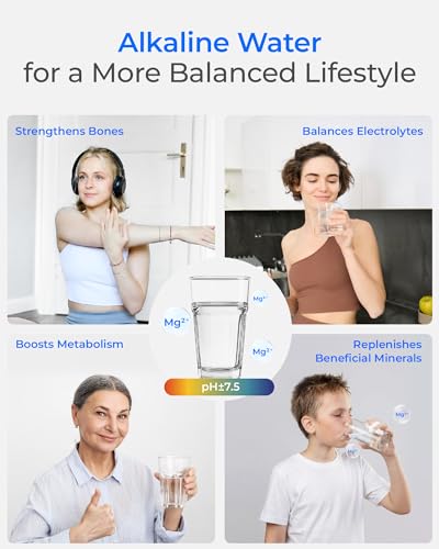 Alkaline Water Filter Replacement for Brita® Filters (3 Count)