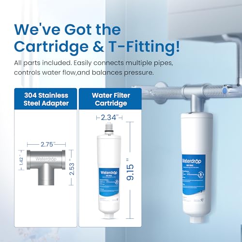 AP431 Whole House Scale Inhibitor with Adapter