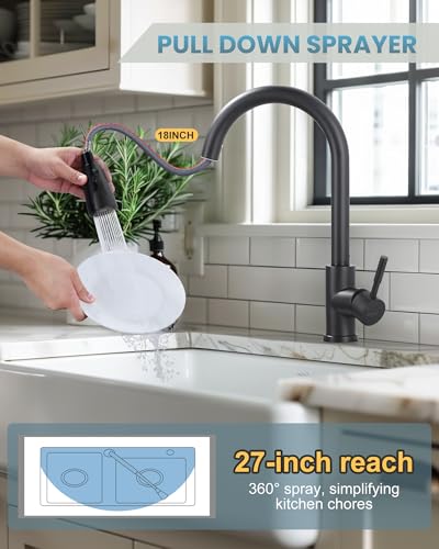 Black Kitchen Faucet with Sprayer