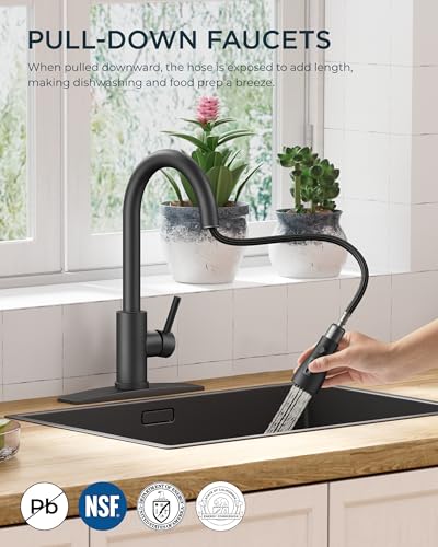 Kitchen Faucet with Pull Down Sprayer