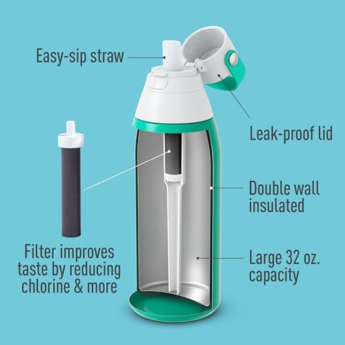Insulated Filtered Water Bottle with Straw