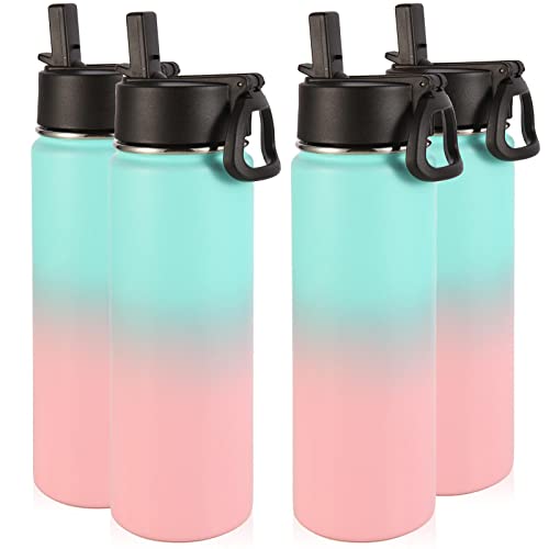 Insulated Water Bottles with Straw Bulk 4 Pack (4 Count)