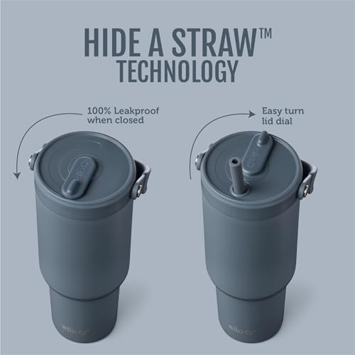 Oasis Go+ 26oz Insulated Stainless Steel Tumbler with Straw