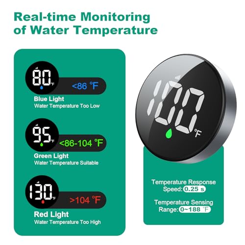 Tem8 Shower Filter Fixture with Temperature Display