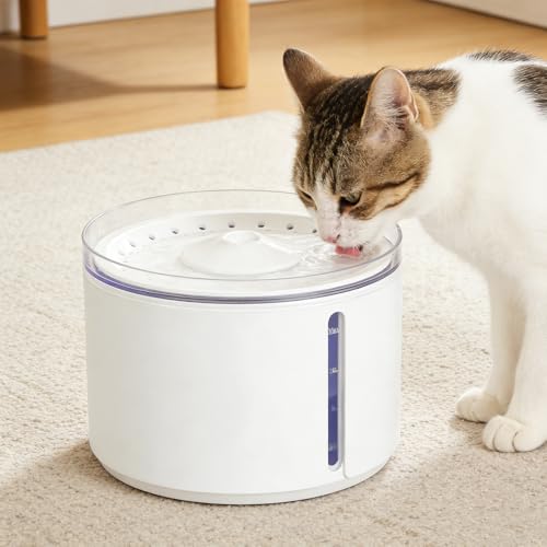 Smart Automatic Pet Water Fountain (845 Gram)