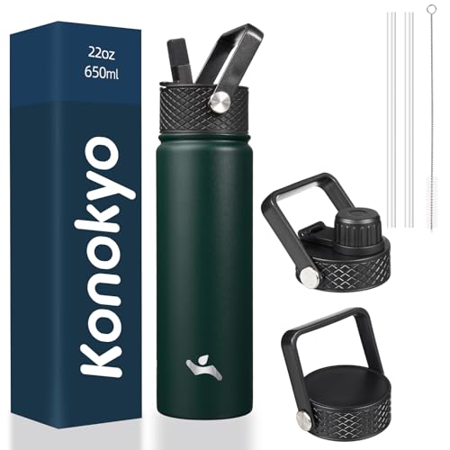 22 oz Insulated Stainless Steel Water Bottle with Straw Lid