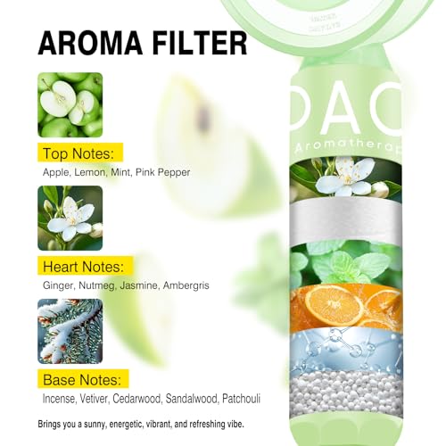 Filtered Shower Head with Handheld