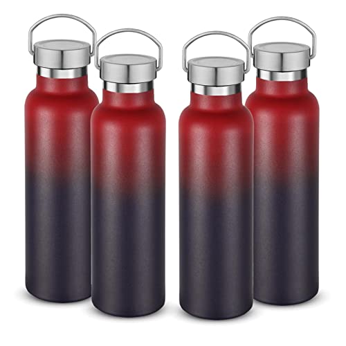 20 oz Insulated Water Bottles Bulk 4 Pack (4 Count)