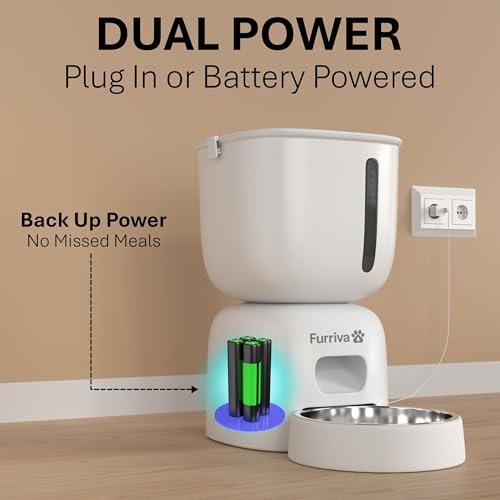 Automatic Cat Feeder and Water Fountain Set