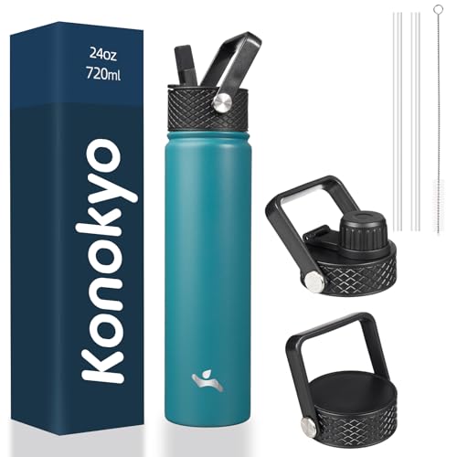 24 oz Insulated Stainless Steel Water Bottle with Straw Lid