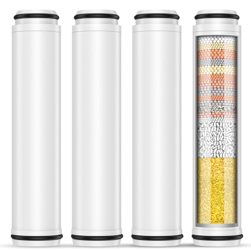 Shower Filter for Handheld Shower Head (4 Count)
