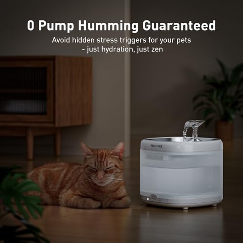 Cat Water Fountain with 4 Filters