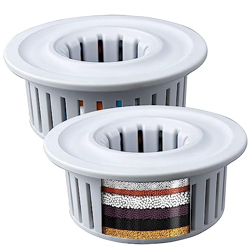 2 Pack Shower Filtered Cartridges