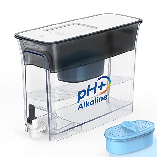 WFD-40L-A Water Filter Dispenser, Alkaline Filtration, Black