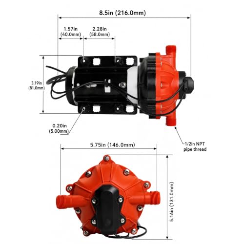 55 Series 115V AC Automatic Demand Diaphragm Pump